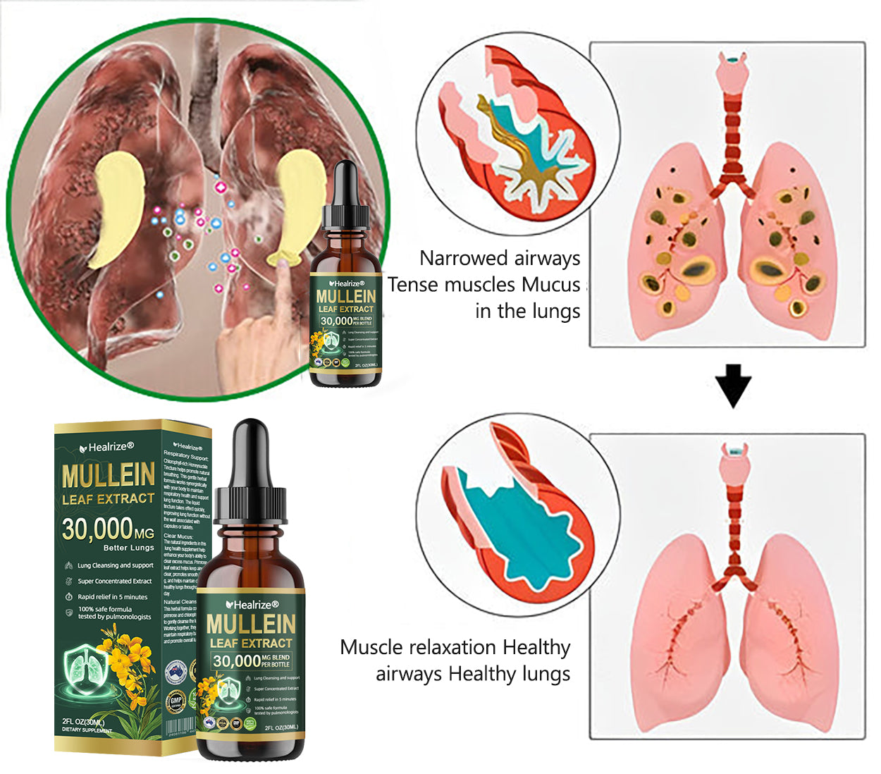 𝗢𝗳𝗳𝗶𝗰𝗶𝗮𝗹 | Healrize® 𝗢𝗿𝗴𝗮𝗻𝗶𝗰 𝗟𝘂𝗻𝗴 𝗖𝗹𝗲𝗮𝗻𝘀𝗶𝗻𝗴 𝗠𝘂𝗹𝗹𝗲𝗶𝗻 𝗟𝗲𝗮𝗳 𝗘𝘅𝘁𝗿𝗮𝗰𝘁 𝗗𝗿𝗼𝗽𝘀 🫁 𝐂𝐥𝐢𝐧𝐢𝐜𝐚𝐥𝐥𝐲 𝐩𝐫𝐨𝐯𝐞𝐧, 𝐡𝐢𝐠𝐡𝐥𝐲 𝐜𝐨𝐧𝐜𝐞𝐧𝐭𝐫𝐚𝐭𝐞𝐝 𝐟𝐨𝐫𝐦𝐮𝐥𝐚 𝐭𝐡𝐚𝐭 𝐫𝐞𝐥𝐢𝐞𝐯𝐞𝐬 𝐜𝐨𝐮𝐠𝐡, 𝐩𝐡𝐥𝐞𝐠𝐦, 𝐚𝐬𝐭𝐡𝐦𝐚 & 𝐂𝐎𝐏𝐃 — 𝐛𝐫𝐞𝐚𝐭𝐡𝐞 𝐞𝐚𝐬𝐢𝐞𝐫, 𝐟𝐚𝐬𝐭𝐞𝐫