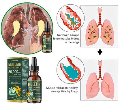 𝗢𝗳𝗳𝗶𝗰𝗶𝗮𝗹 | Healrize® 𝗢𝗿𝗴𝗮𝗻𝗶𝗰 𝗟𝘂𝗻𝗴 𝗖𝗹𝗲𝗮𝗻𝘀𝗶𝗻𝗴 𝗠𝘂𝗹𝗹𝗲𝗶𝗻 𝗟𝗲𝗮𝗳 𝗘𝘅𝘁𝗿𝗮𝗰𝘁 𝗗𝗿𝗼𝗽𝘀 🫁 𝐂𝐥𝐢𝐧𝐢𝐜𝐚𝐥𝐥𝐲 𝐩𝐫𝐨𝐯𝐞𝐧, 𝐡𝐢𝐠𝐡𝐥𝐲 𝐜𝐨𝐧𝐜𝐞𝐧𝐭𝐫𝐚𝐭𝐞𝐝 𝐟𝐨𝐫𝐦𝐮𝐥𝐚 𝐭𝐡𝐚𝐭 𝐫𝐞𝐥𝐢𝐞𝐯𝐞𝐬 𝐜𝐨𝐮𝐠𝐡, 𝐩𝐡𝐥𝐞𝐠𝐦, 𝐚𝐬𝐭𝐡𝐦𝐚 & 𝐂𝐎𝐏𝐃 — 𝐛𝐫𝐞𝐚𝐭𝐡𝐞 𝐞𝐚𝐬𝐢𝐞𝐫, 𝐟𝐚𝐬𝐭𝐞𝐫