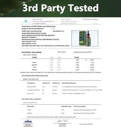 𝗢𝗳𝗳𝗶𝗰𝗶𝗮𝗹 | Healrize® 𝗢𝗿𝗴𝗮𝗻𝗶𝗰 𝗟𝘂𝗻𝗴 𝗖𝗹𝗲𝗮𝗻𝘀𝗶𝗻𝗴 𝗠𝘂𝗹𝗹𝗲𝗶𝗻 𝗟𝗲𝗮𝗳 𝗘𝘅𝘁𝗿𝗮𝗰𝘁 𝗗𝗿𝗼𝗽𝘀 🫁 𝐂𝐥𝐢𝐧𝐢𝐜𝐚𝐥𝐥𝐲 𝐩𝐫𝐨𝐯𝐞𝐧, 𝐡𝐢𝐠𝐡𝐥𝐲 𝐜𝐨𝐧𝐜𝐞𝐧𝐭𝐫𝐚𝐭𝐞𝐝 𝐟𝐨𝐫𝐦𝐮𝐥𝐚 𝐭𝐡𝐚𝐭 𝐫𝐞𝐥𝐢𝐞𝐯𝐞𝐬 𝐜𝐨𝐮𝐠𝐡, 𝐩𝐡𝐥𝐞𝐠𝐦, 𝐚𝐬𝐭𝐡𝐦𝐚 & 𝐂𝐎𝐏𝐃 — 𝐛𝐫𝐞𝐚𝐭𝐡𝐞 𝐞𝐚𝐬𝐢𝐞𝐫, 𝐟𝐚𝐬𝐭𝐞𝐫